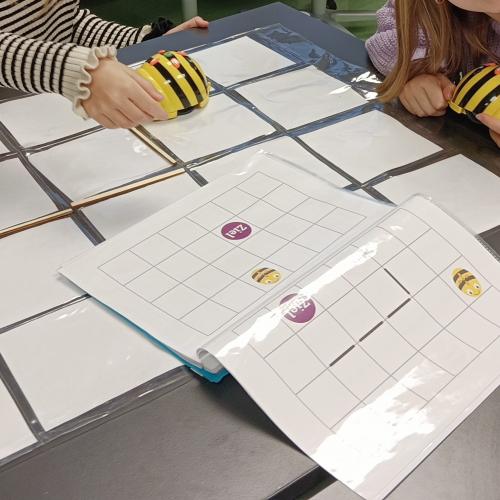 Bee Bots
