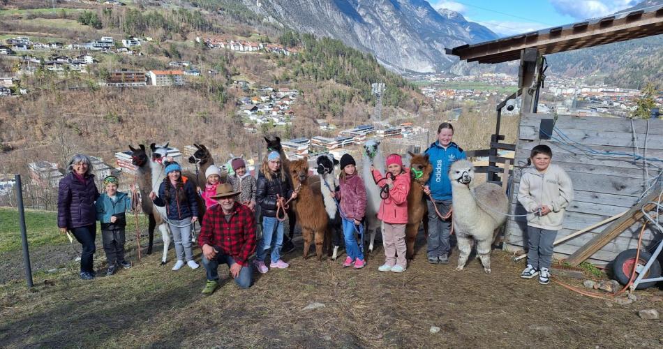 Lama_Patenschaft 